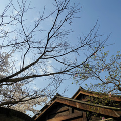 1702520a-5d53-430f-6bba-b270072c6b00
