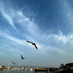42731993-b5b9-4f12-69b5-dd32e4c5bb00