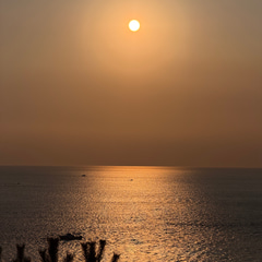4379c3ea-0700-4a1e-8af4-7121078859f9