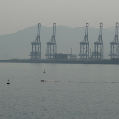 8109564b-68e4-4cd5-a4e3-1cb2710ed2d4
