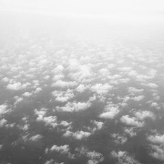 8c2e848f-690b-43b5-4910-41d9efe78100