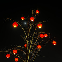 b83007e6-3c81-4321-e055-7f4a1b108c00