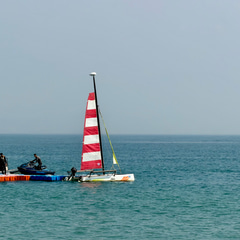 ce4d579d-43de-4cc2-94e8-6c3967d826c8