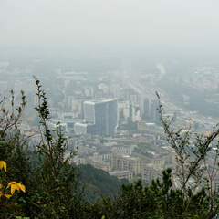 d2379c20-904b-44ed-1b0c-04309b444500