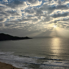 d688f985-7a02-4259-9f77-976ec7b1bd15