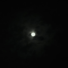 f198e342-4b0e-4e76-3709-bee655546800